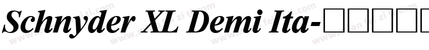 Schnyder XL Demi Ita字体转换